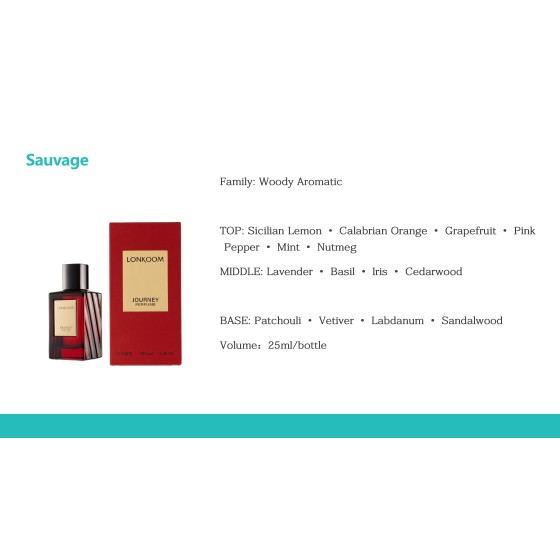 LONKOOM JOURNEY Men Perfume 25ml, Woody Aromatic Long‑Lasting Eau De Parfum Spray